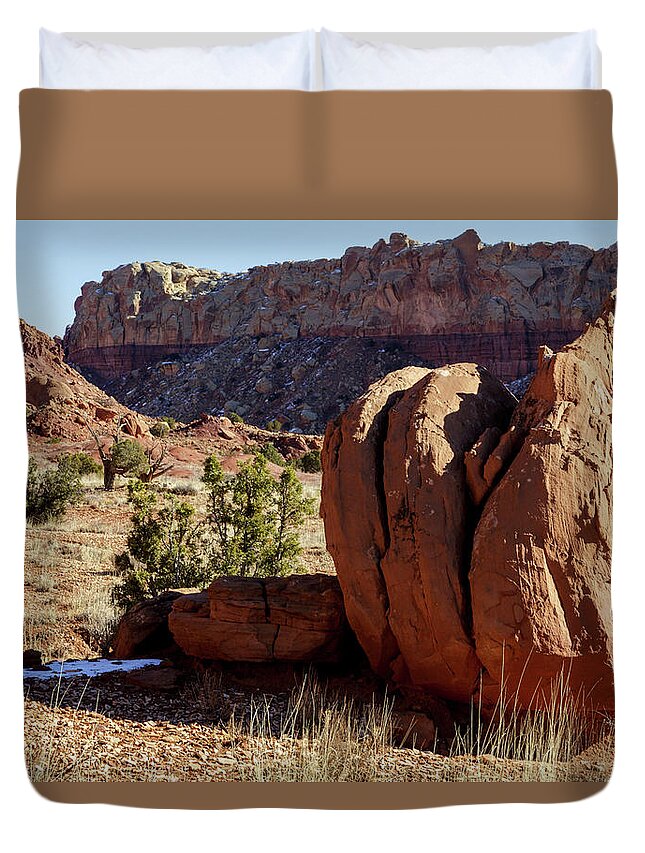 Landscape Duvet Cover featuring the photograph The Three Amigos by Steve Templeton