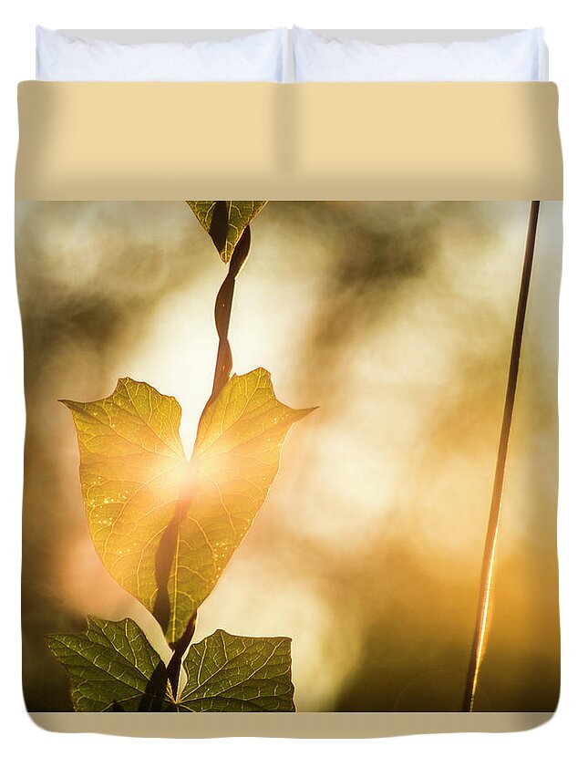 Plant Duvet Cover featuring the photograph The touch of dawn by Maria Dimitrova