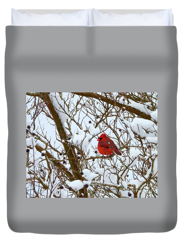 Cardinal Duvet Cover featuring the photograph The Virginia State Bird by Scott Cameron