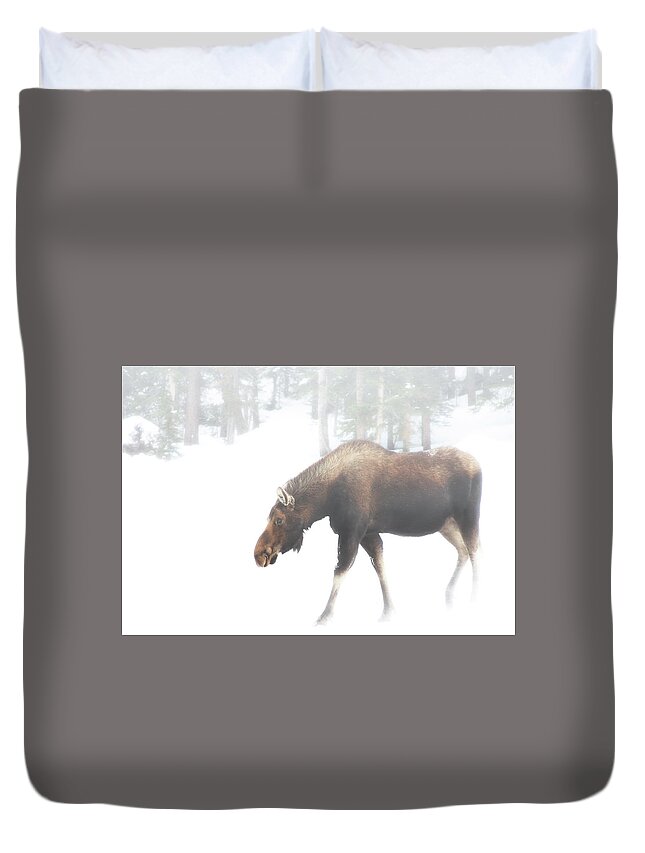 Moose Duvet Cover featuring the photograph The Winter Moose by Brian Gustafson