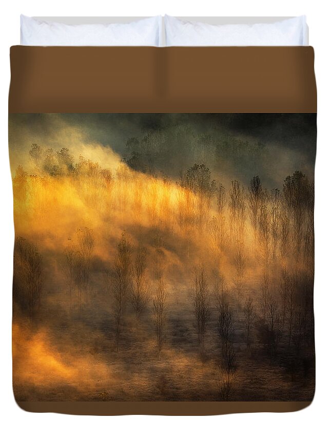 Bulgaria Duvet Cover featuring the photograph Thin Forest by Evgeni Dinev