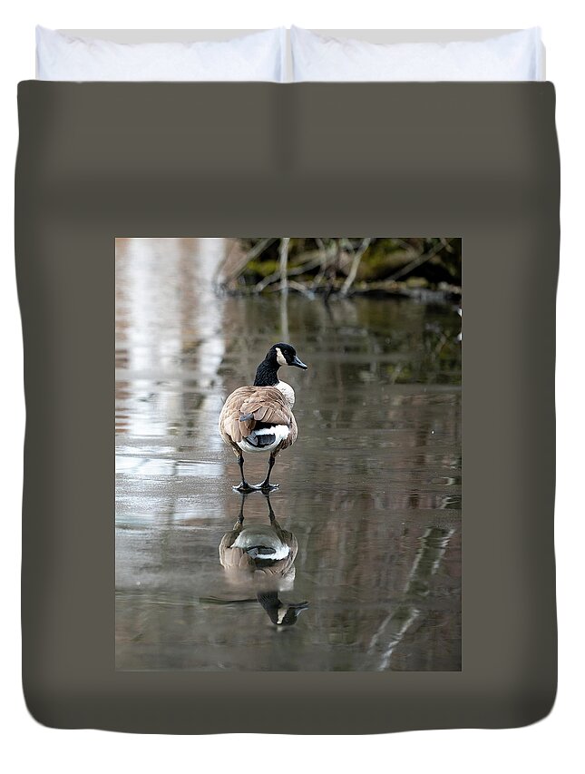 Canadian Goose Duvet Cover featuring the photograph Thin Ice by Kevin Suttlehan