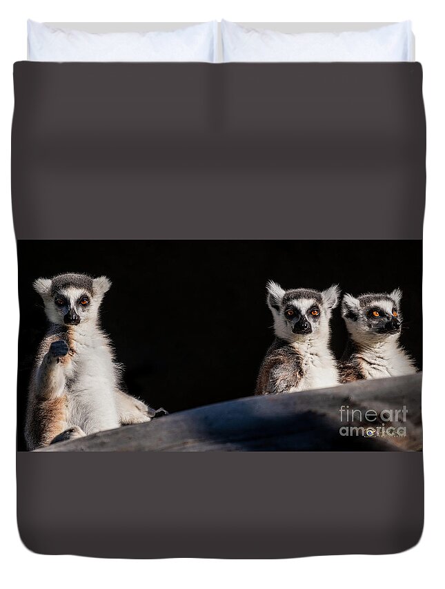 David Levin Photography Duvet Cover featuring the photograph This Spot's for You by David Levin