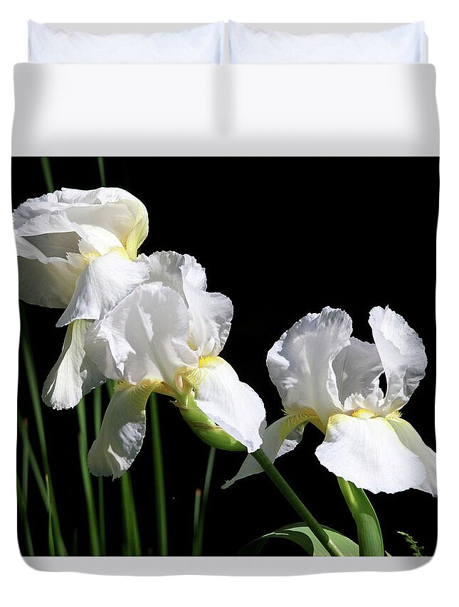 Flowers Duvet Cover featuring the photograph Three Beautiful White Irises by Trina Ansel