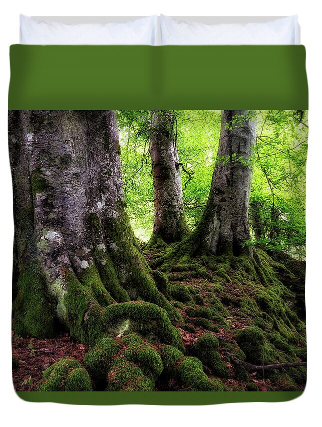 Acharn Scotland Duvet Cover featuring the photograph Three Kings of Acharn - Scotland - Trees by Jason Politte