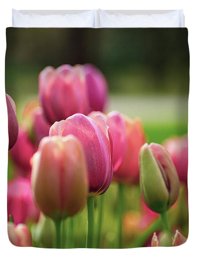 Tulips Duvet Cover featuring the photograph Tickled Pink by Mary Ann Artz