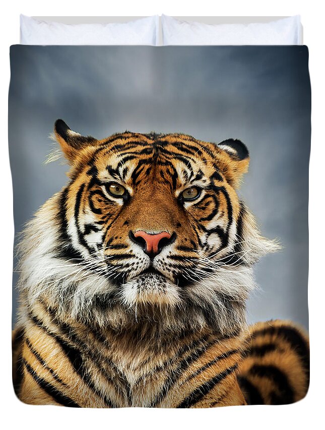 Tiger Duvet Cover featuring the photograph Tiger Stare by Andrew Dickman