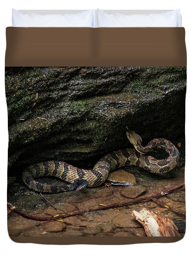 Brevard Duvet Cover featuring the photograph Timber Rattler by Melissa Southern