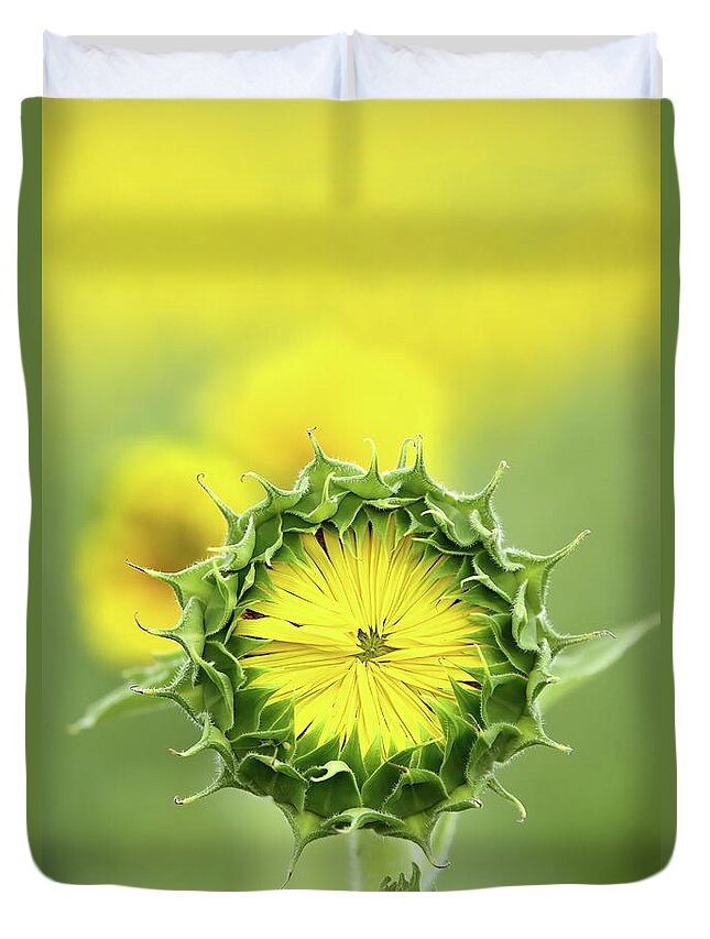 Sunflower Duvet Cover featuring the photograph Time To Wake Up by Lens Art Photography By Larry Trager