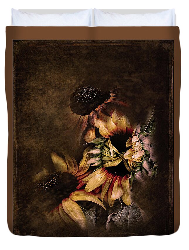 Sunflowers Duvet Cover featuring the photograph Timid Sunflower Textured by Sally Bauer
