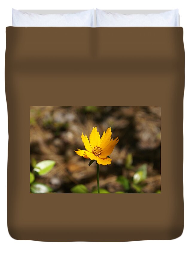  Duvet Cover featuring the photograph Tiny Bloom by Heather E Harman