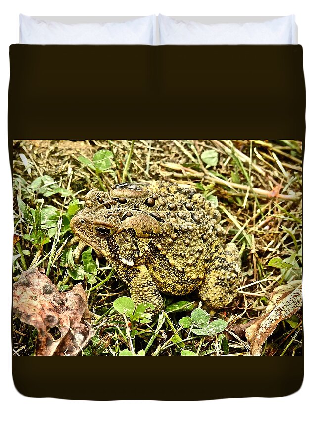 Toad Camouflage Duvet Cover featuring the photograph Toad Camouflage by Kathy Chism