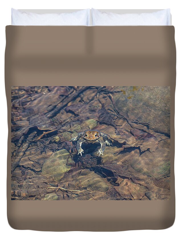 Frog Duvet Cover featuring the photograph Toad In Water by Amelia Pearn