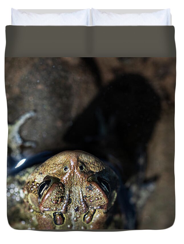 Toad Duvet Cover featuring the photograph Toad On The Beach by Amelia Pearn