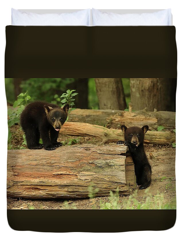 Bears Duvet Cover featuring the photograph Too Damn Cute by Duane Cross