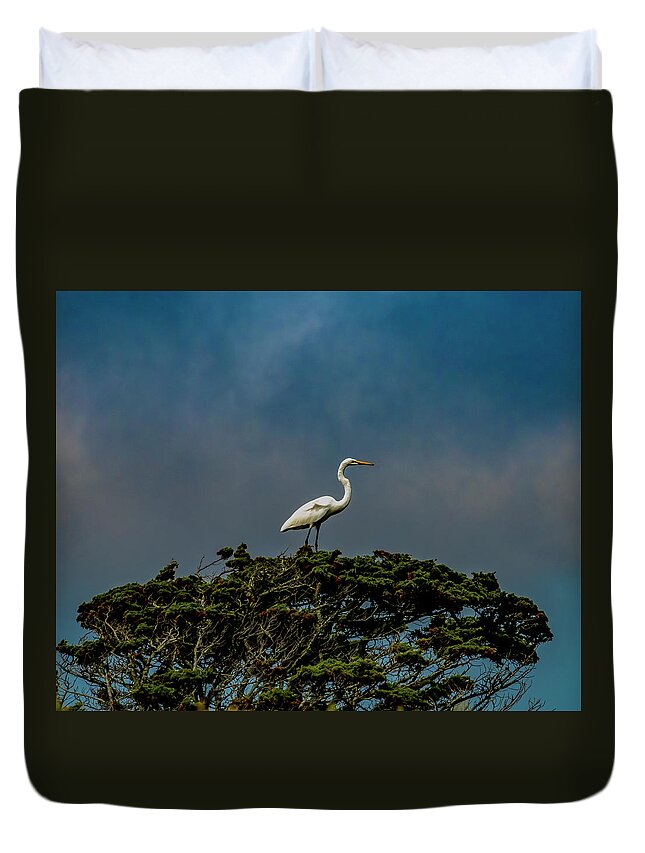 Bird Duvet Cover featuring the photograph Top Of The World by Cathy Kovarik