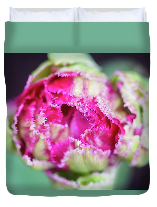 Tulip Duvet Cover featuring the photograph Top view of a tulip bud by Aarthi Arunkumar