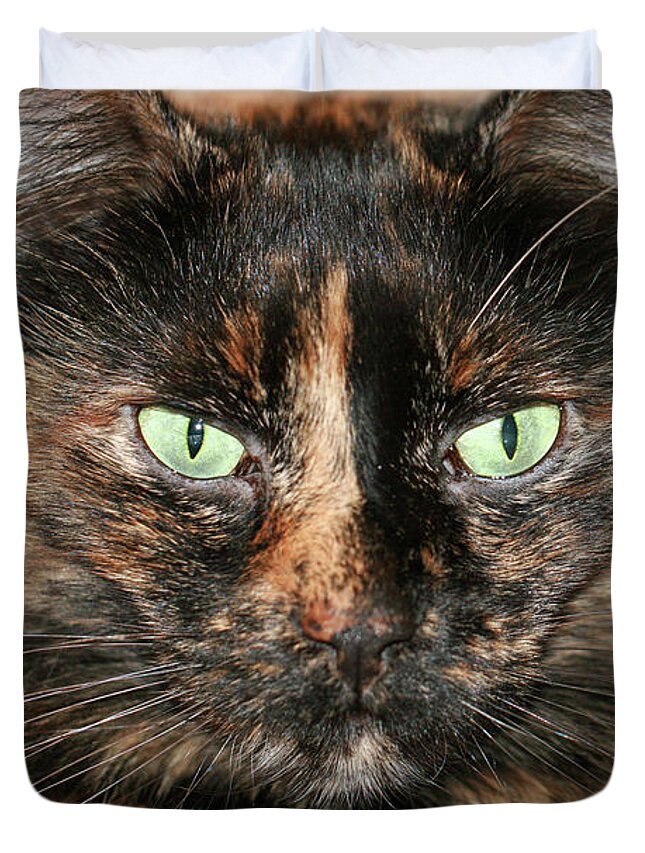 Cat; Kitten; Torti; Torti Cat; Tortoiseshell; Gold; Brown; Black; Green Eyes; Cat Eyes; Kitten Eyes; Macro; Close-up; Photography; Horizontal Duvet Cover featuring the photograph Tortitude by Tina Uihlein