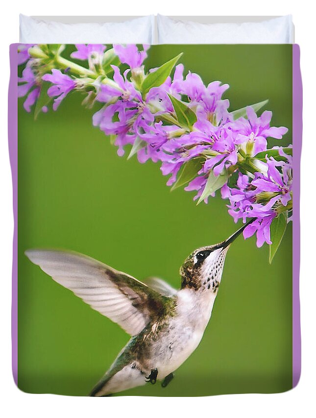 Hummingbird Duvet Cover featuring the digital art Touched Hummingbird by Christina Rollo