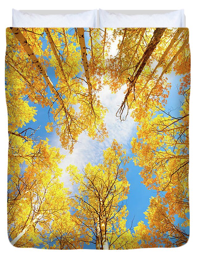 Aspens Duvet Cover featuring the photograph Towering Aspens by Darren White