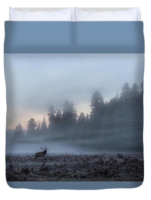 Deer Duvet Cover featuring the photograph Into the Mist #1 by Scott Warner