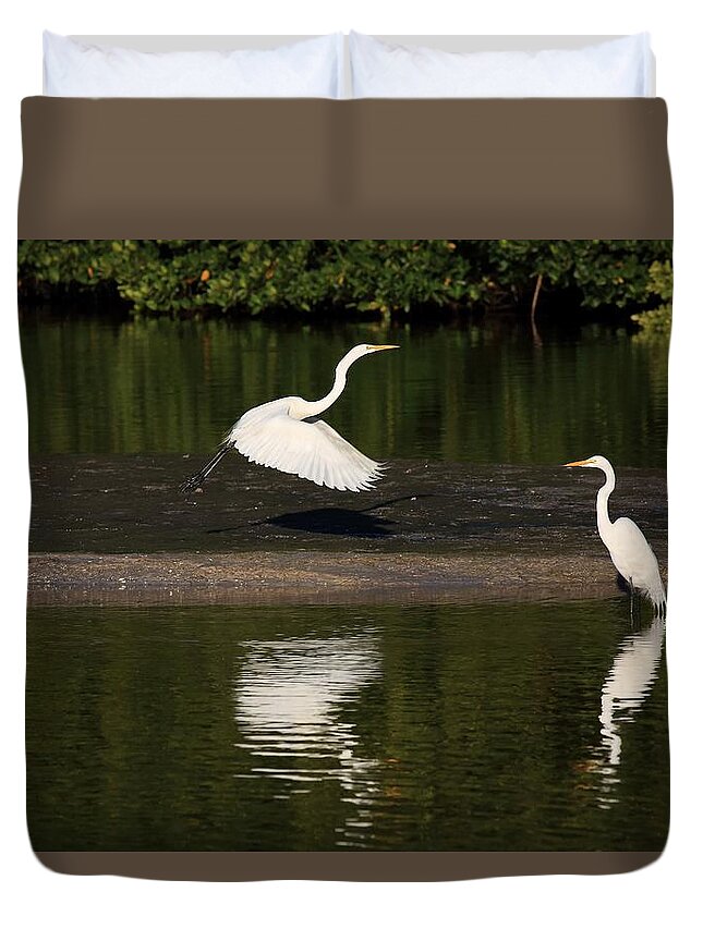 Great Egret Duvet Cover featuring the photograph Tranquil Scenery 1 by Mingming Jiang