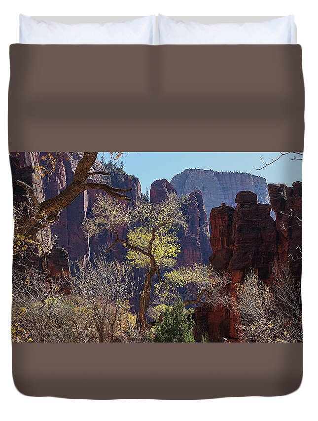 Zion Duvet Cover featuring the photograph Tree at Zion National Park by Nathan Wasylewski