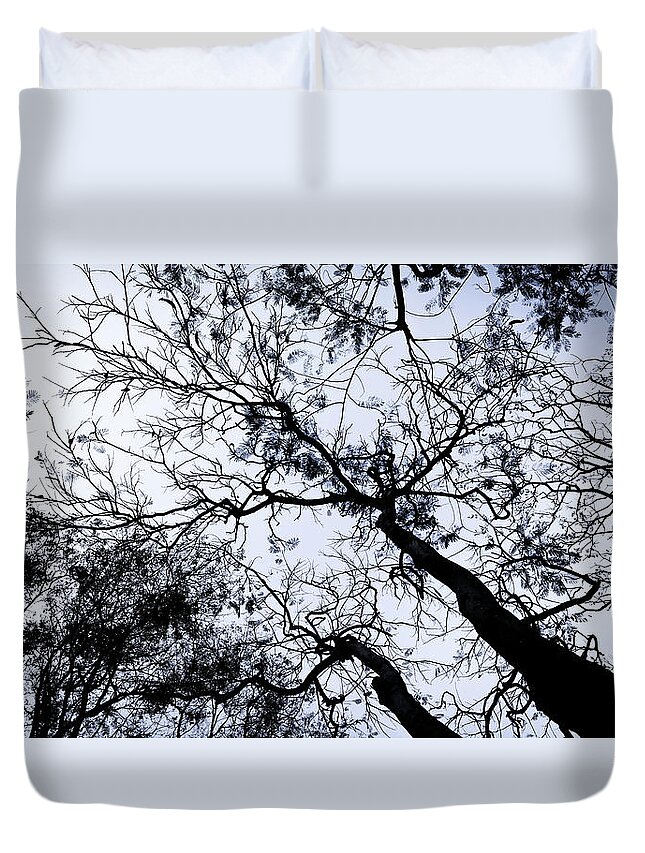Tree Duvet Cover featuring the photograph Tree Branches Abstract by Arj Munoz