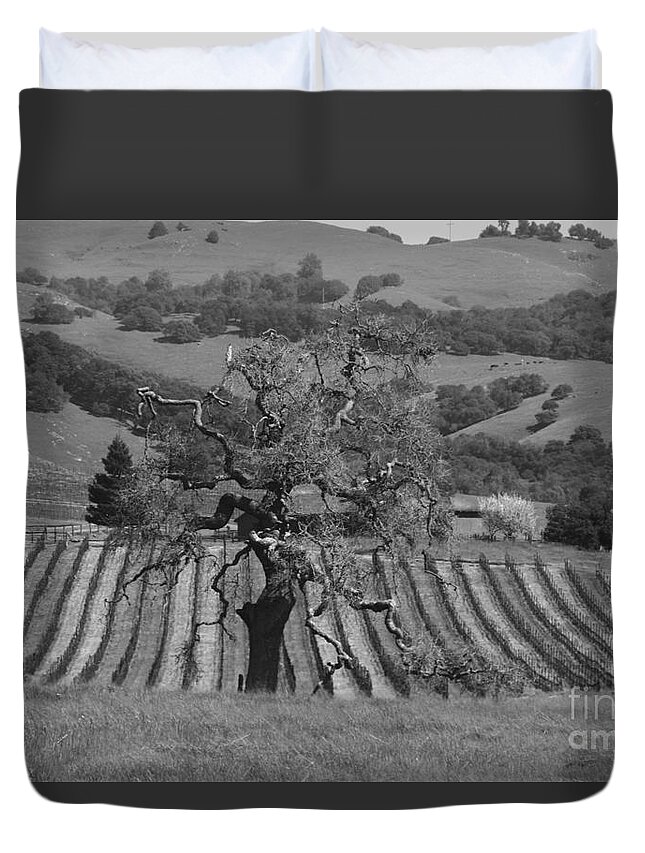 Tree Duvet Cover featuring the photograph Tree of the Vineyard by Tony Lee