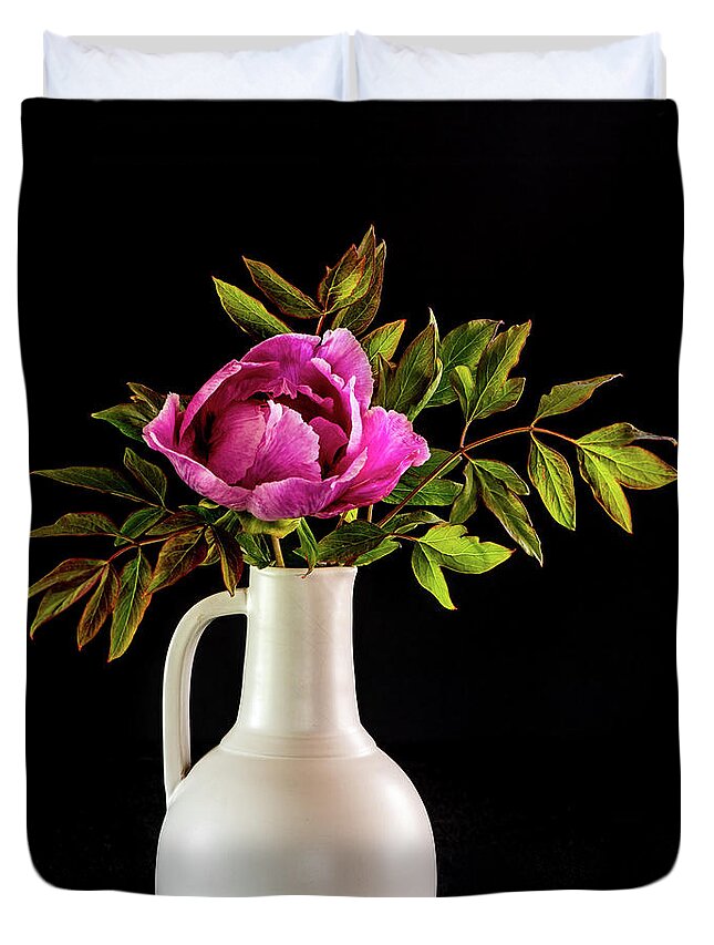 Tree Peony Duvet Cover featuring the photograph Tree peony Lan He Paeonia suffruticosa rockii in a white vase on a black background by Torbjorn Swenelius