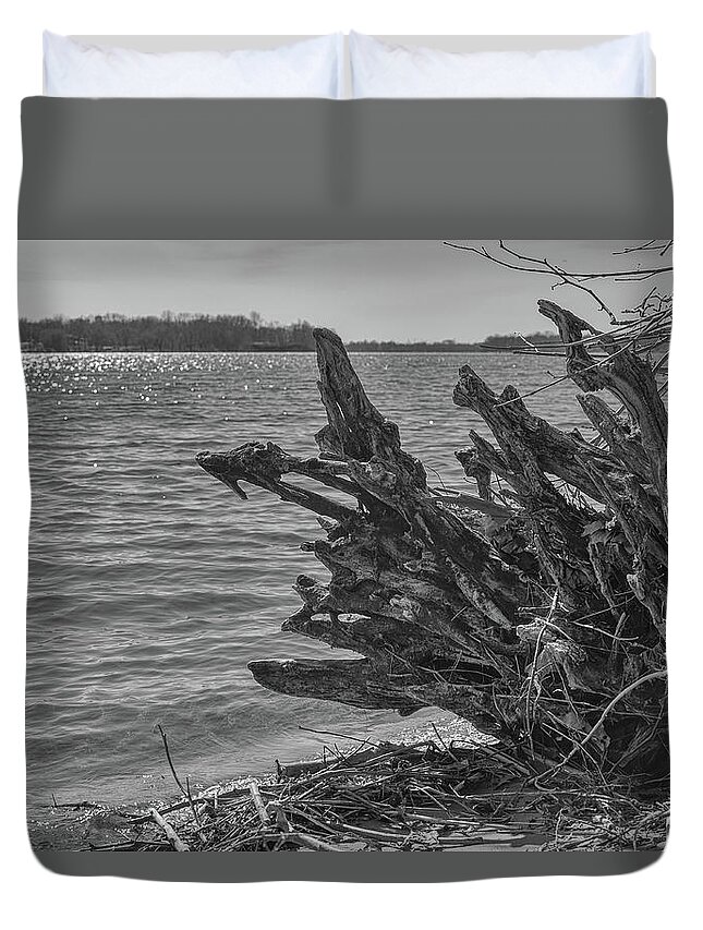 Tree Duvet Cover featuring the photograph Tree roots along the River by Alan Goldberg
