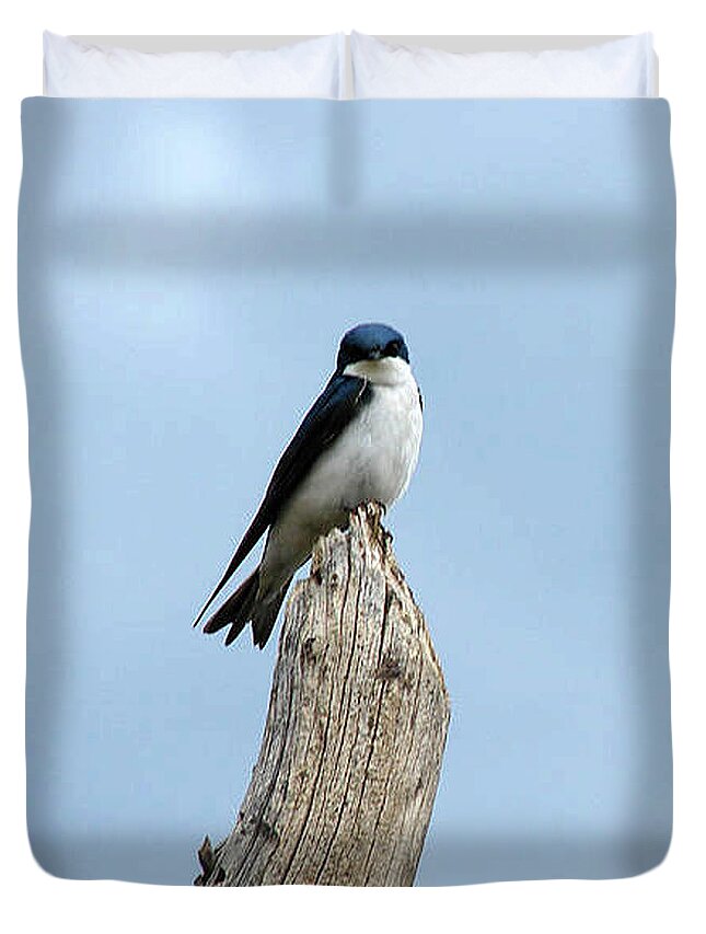 Birds Duvet Cover featuring the photograph Tree Swallow by Carl Moore