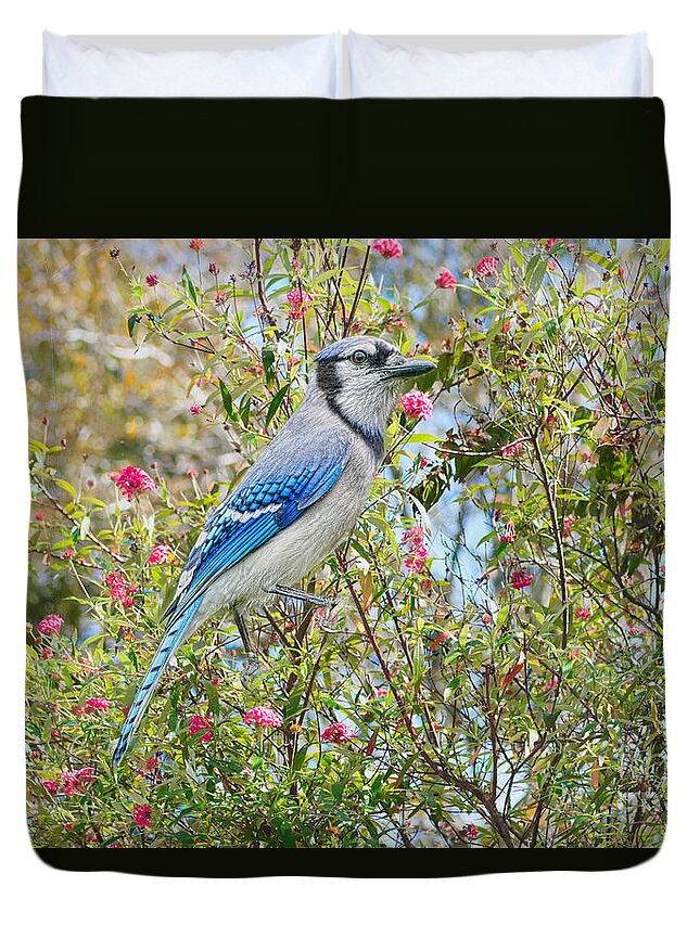 Blue Jay Duvet Cover featuring the photograph Tree Topper by Judy Kay
