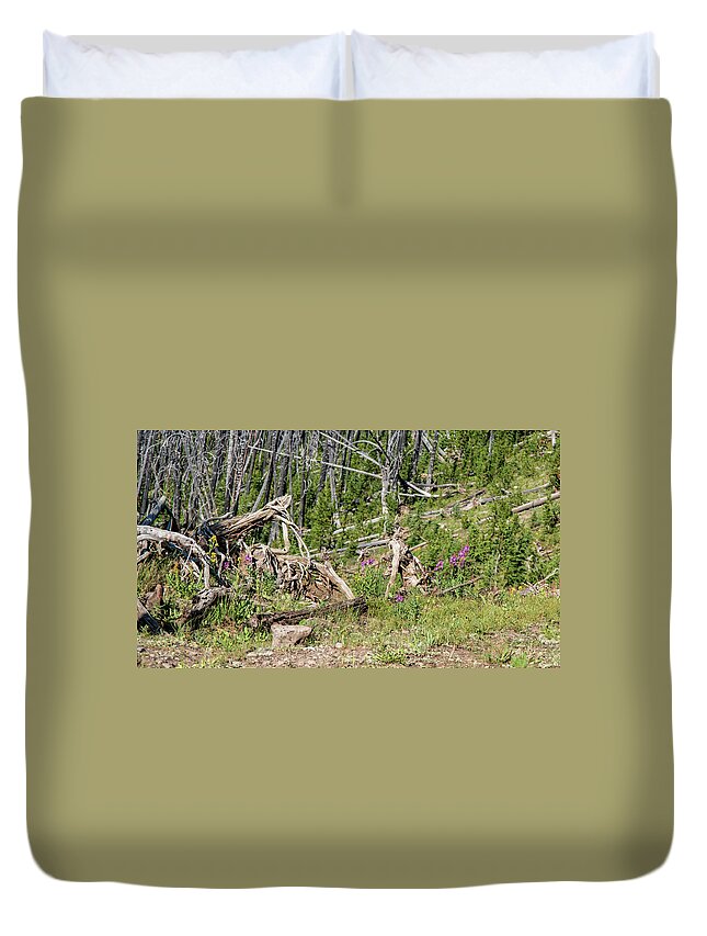 No People Duvet Cover featuring the photograph Tree up in yellowstone by Nathan Wasylewski
