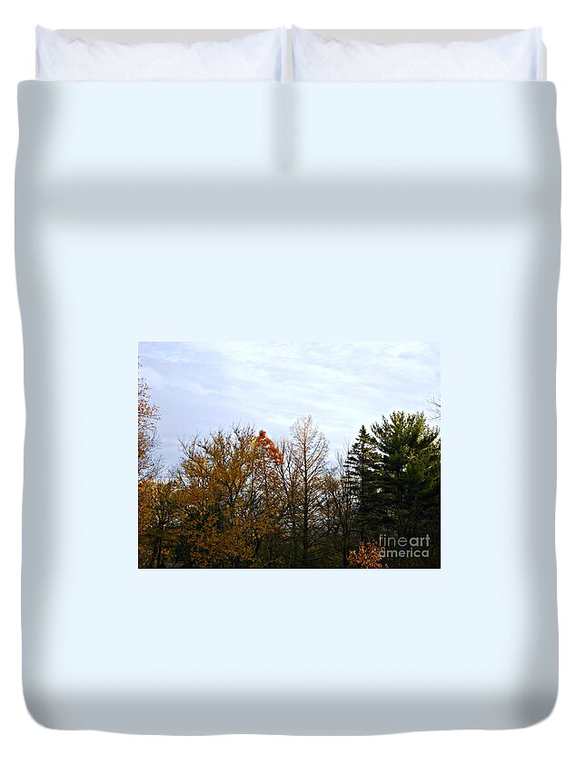 Landscape Duvet Cover featuring the photograph Trees and Branches in the Fall by Frank J Casella