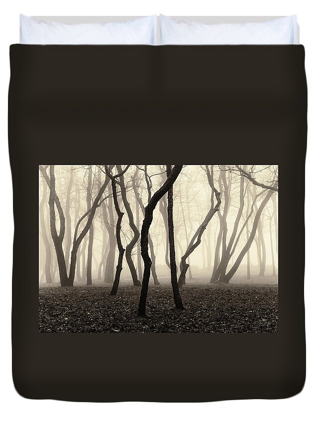 Trees Duvet Cover featuring the photograph Trees and Fog No. 1 by David Gordon