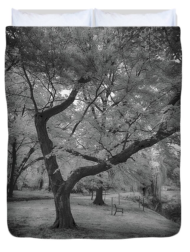 Infrared Duvet Cover featuring the photograph Trees at the park in black and white by Alan Goldberg