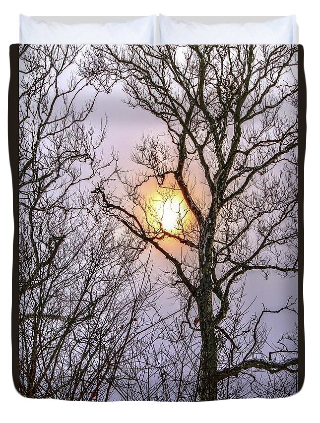 Sun Duvet Cover featuring the photograph Trees Capturing the Sun by Randy Pollard