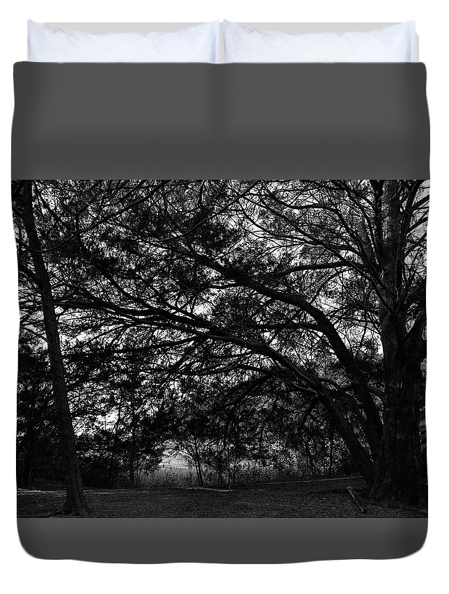 Georgia Duvet Cover featuring the photograph Trees, Hammock, Marshes of Glynn by John Simmons