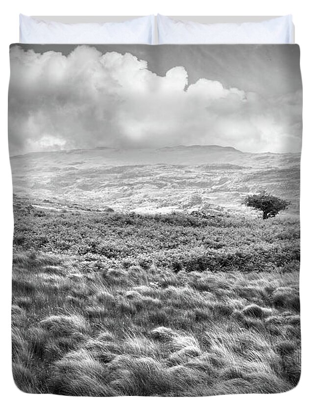 Clouds Duvet Cover featuring the photograph Trees in the Irish Mist in Black and White by Debra and Dave Vanderlaan