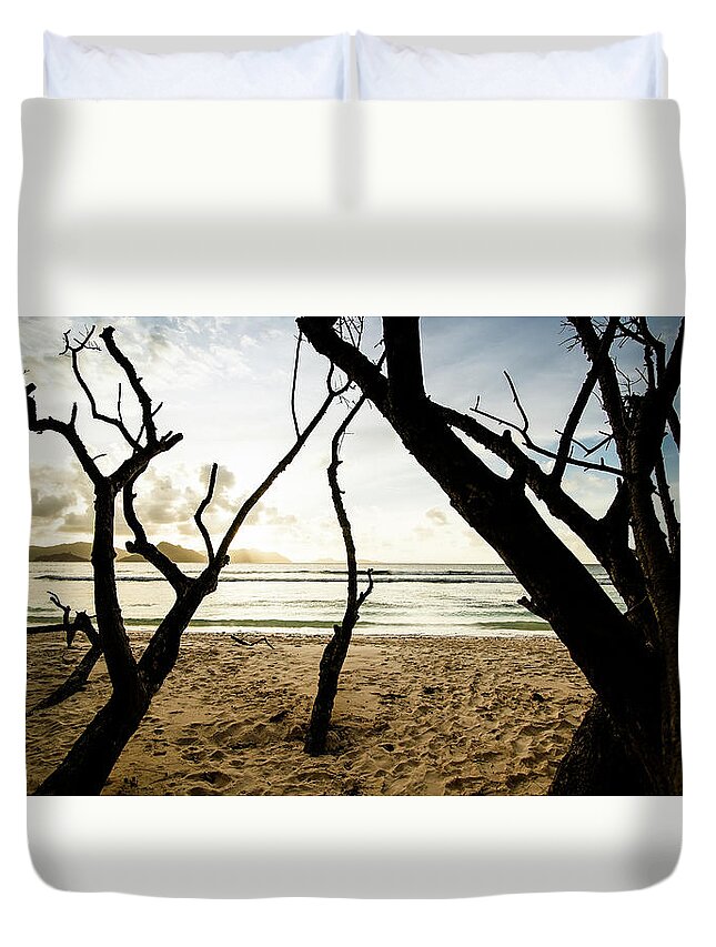 Background Duvet Cover featuring the photograph Trees silhouette at sunset in Seychelles by Jean-Luc Farges
