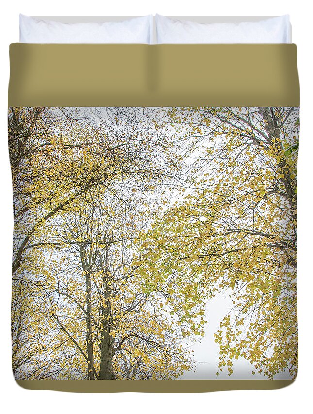 Trent Park Duvet Cover featuring the photograph Trent Park Trees Fall 12 by Edmund Peston