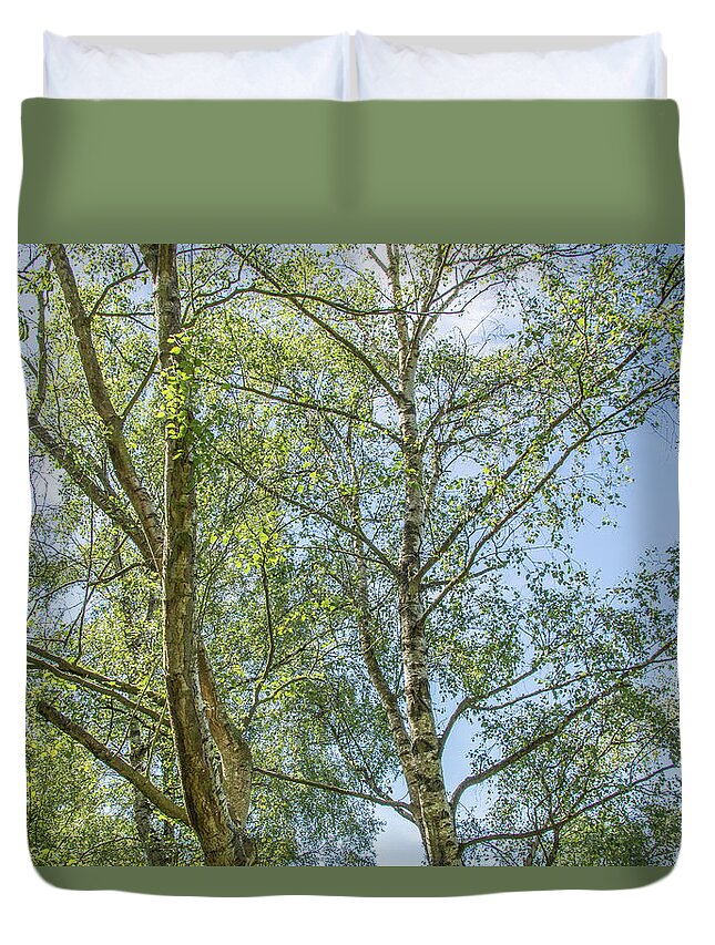 Trent Park Duvet Cover featuring the photograph Trent Park Trees Summer 3 by Edmund Peston