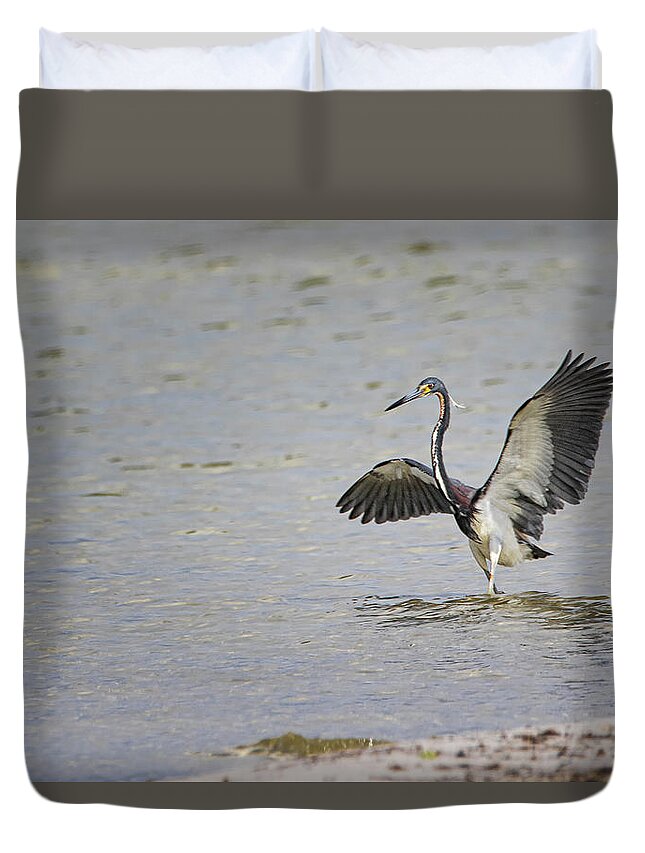Tricolor Heron Duvet Cover featuring the photograph Tricolor Heron at Cedar Island North Carolina by Bob Decker