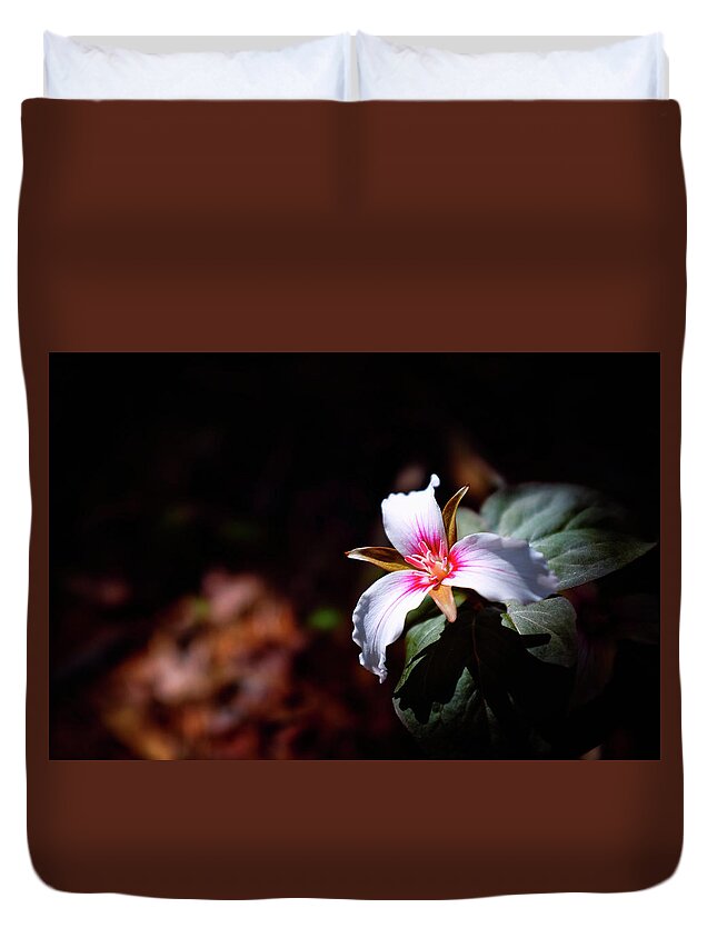 New Hampshire Duvet Cover featuring the photograph Trillium Light by Jeff Sinon