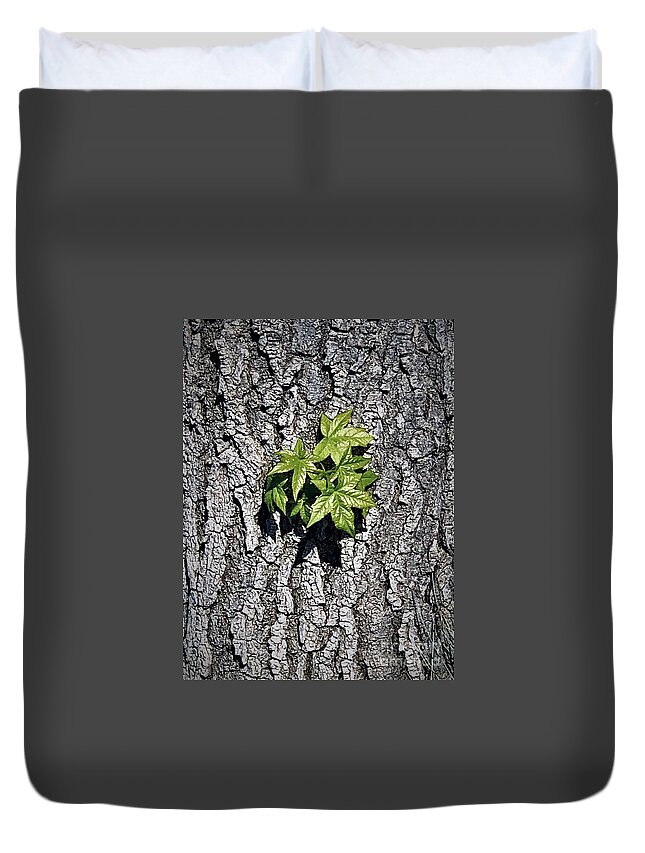 Star Duvet Cover featuring the photograph Tuesdays With Saint Anthony - The Star-leaved Sweetgum by Tiesa Wesen