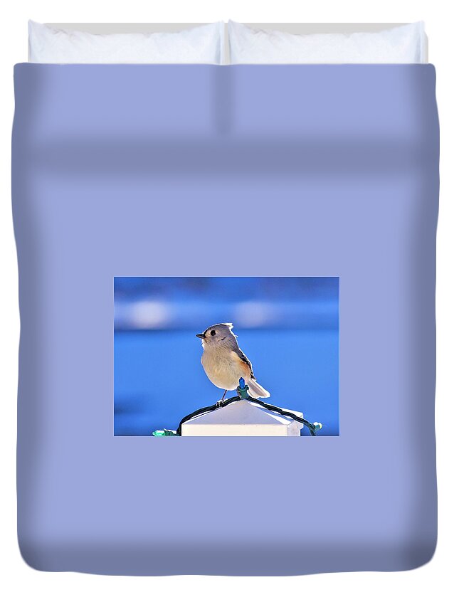 - Tufted Titmouse 3 Duvet Cover featuring the photograph - Tufted Titmouse 3 by THERESA Nye