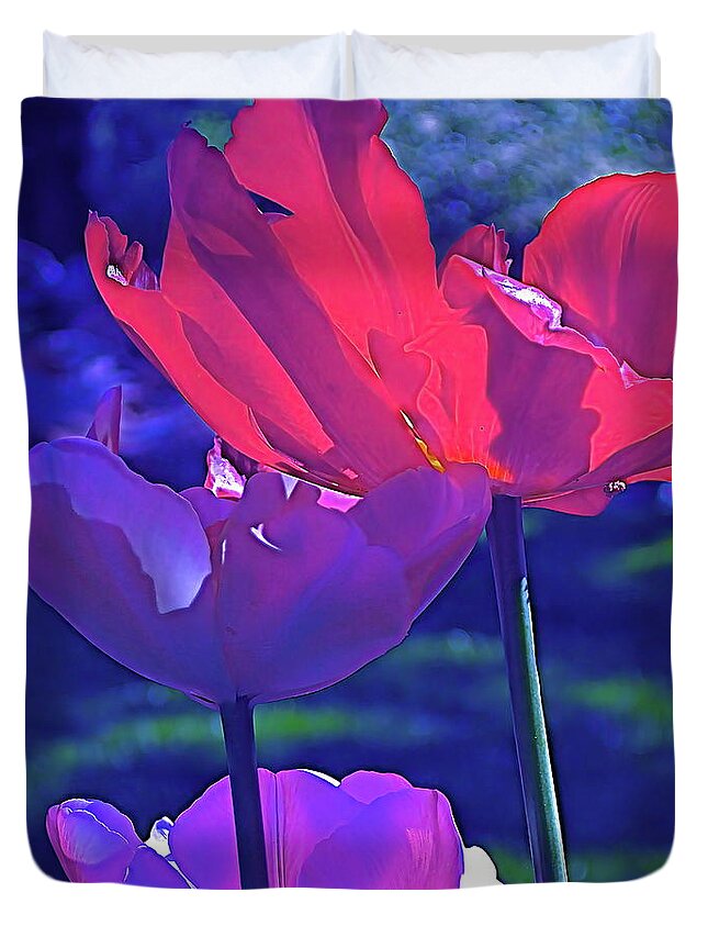 Tulips Duvet Cover featuring the photograph Tulip 3 by Pamela Cooper