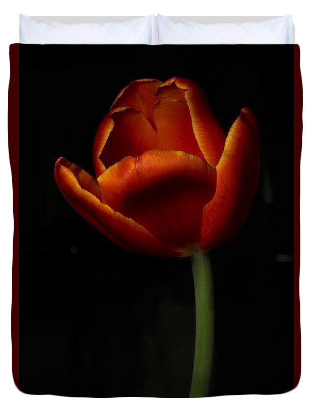 Botanical Duvet Cover featuring the photograph Tulip 8063 by Julie Powell