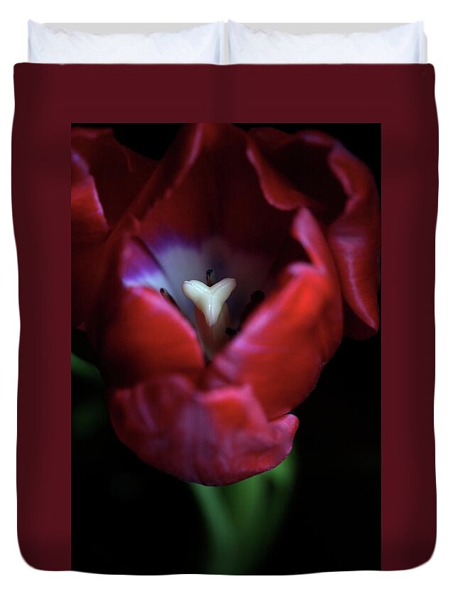 Macro Duvet Cover featuring the photograph Tulip Pink 7082 by Julie Powell